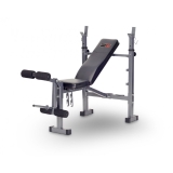 Basic Bench with Adjustable Posts & Leg Developer 